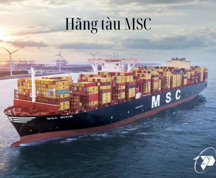 MSC