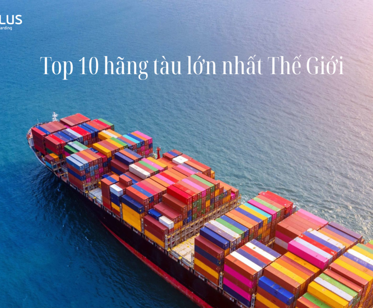 top 10