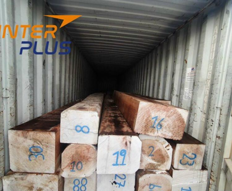 Nhập khẩu GỖ GÕ PAQUIÓ